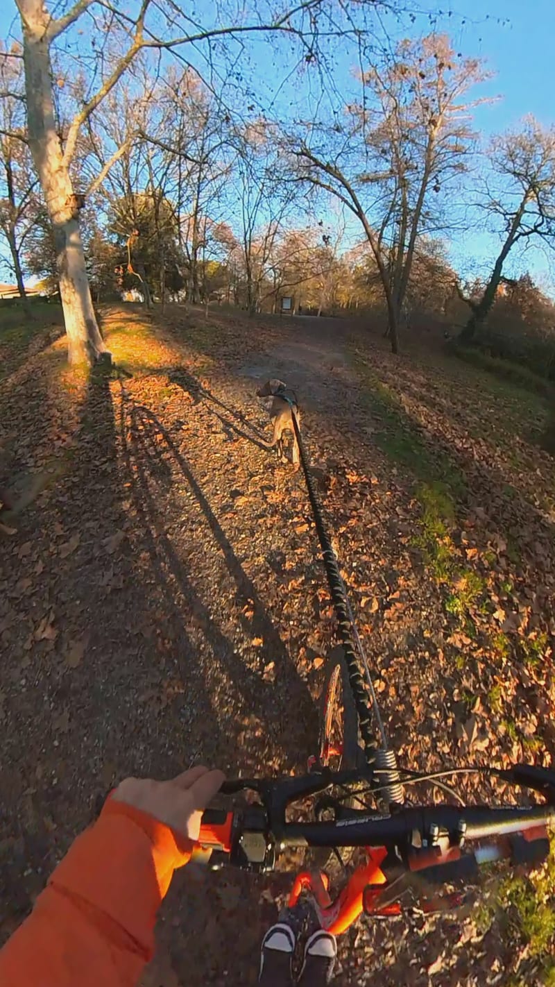 Canitrottinette au Parc du Cabirol et de l'Armurier - Colomiers
