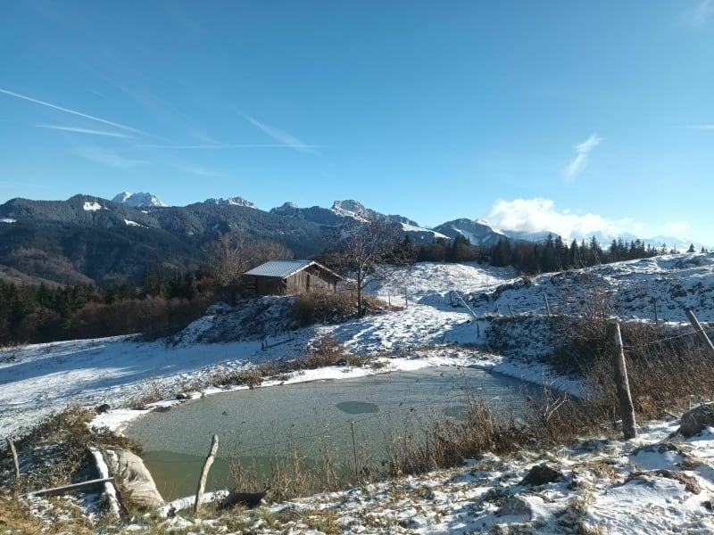 Plaine joux-plateau voor gezinnen - Bogève