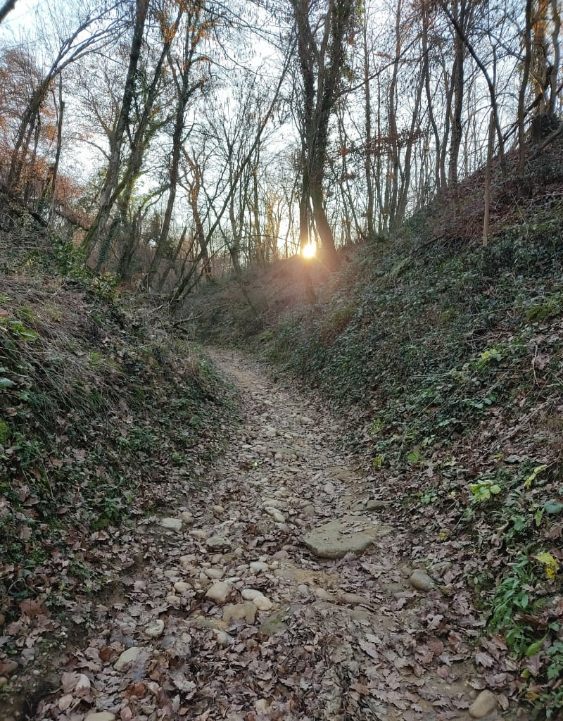 Bois et combe de Sizay - Saint-Donat-sur-l'Herbasse