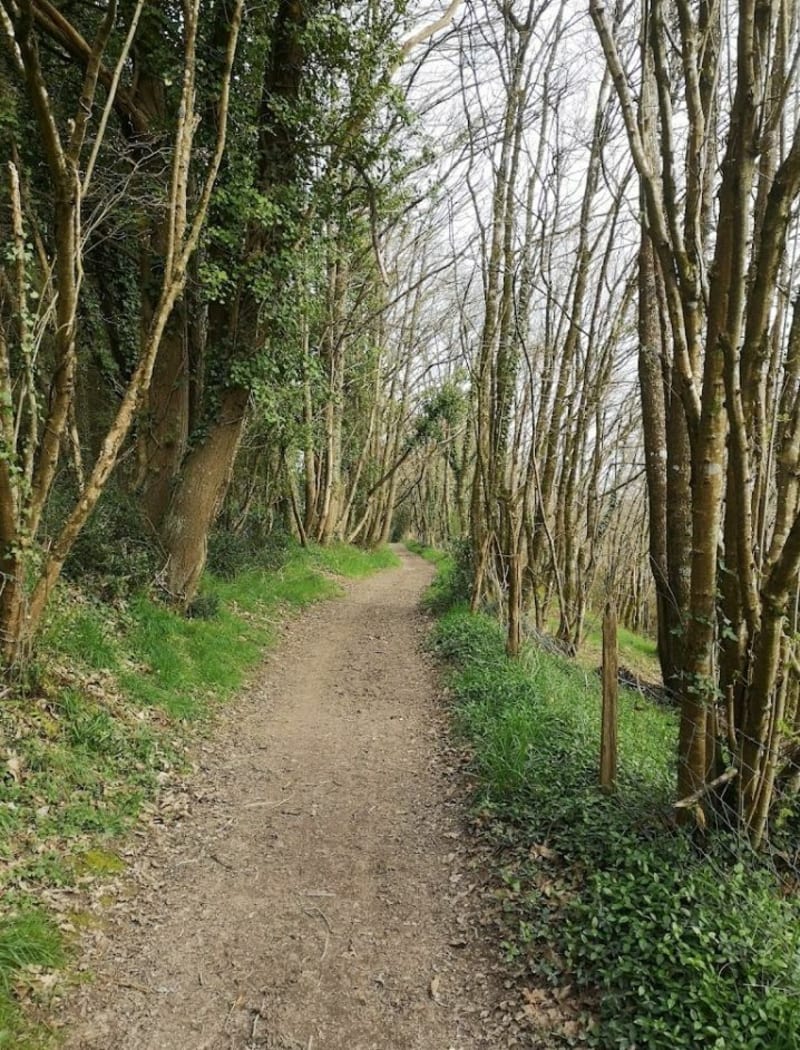 Balade la Paquelais - Vigneux-de-Bretagne