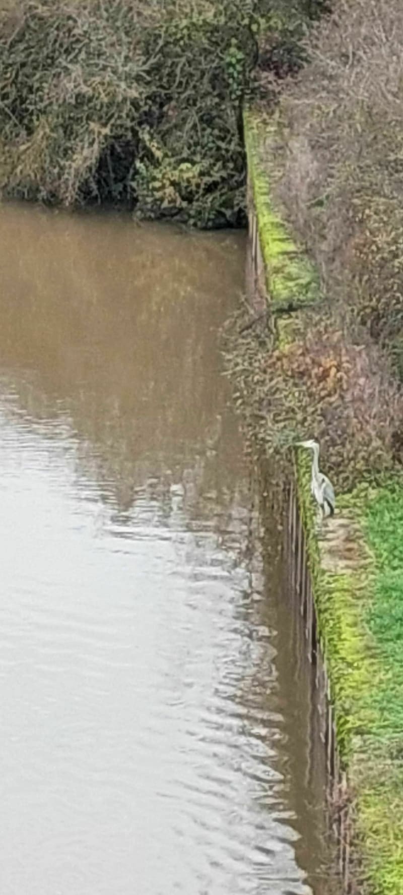 Boucle entre canal et Moselle - Hauconcourt