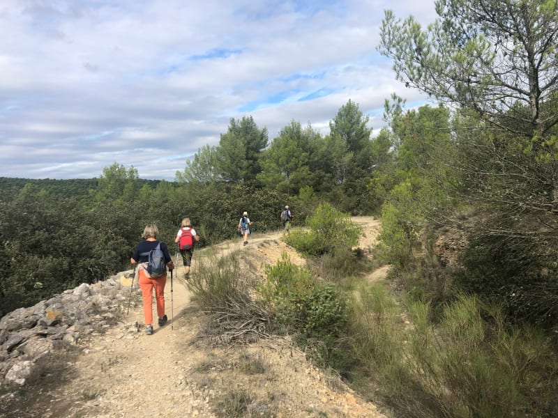 La Diote chemin du puit. - Mimet