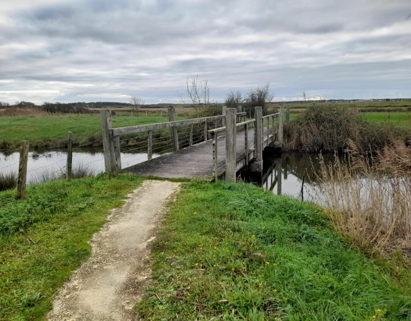 Les marais du Gua - Le Gua