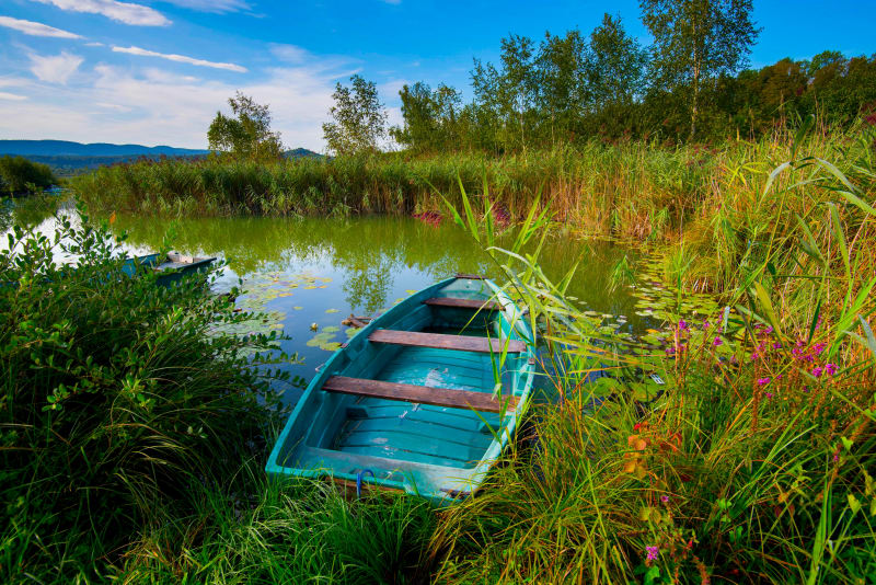 Tour du lac de Clairvaux et belvédère de la Scie - Clairvaux-les-Lacs