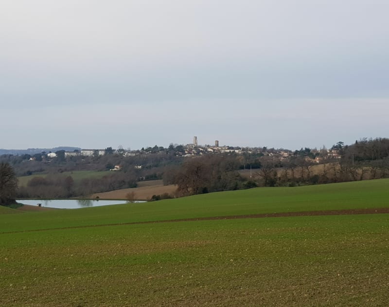 Balade Sud de Lectoure - Lectoure