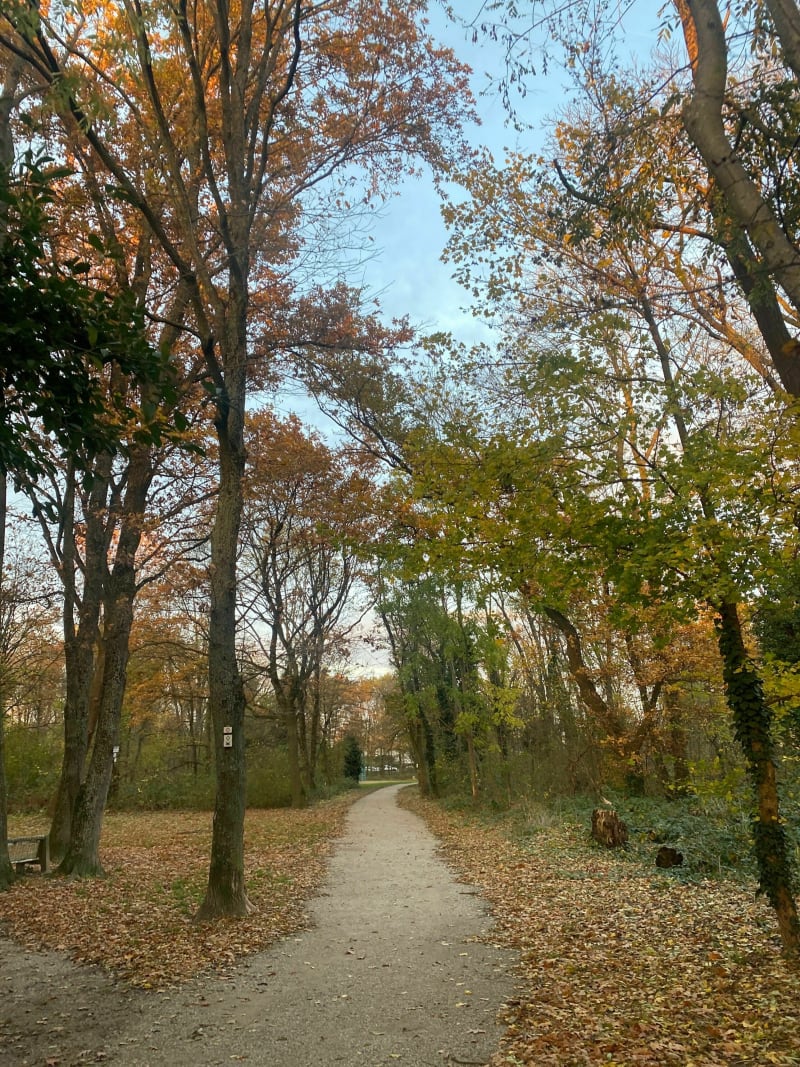 La promenade verte - Kingersheim