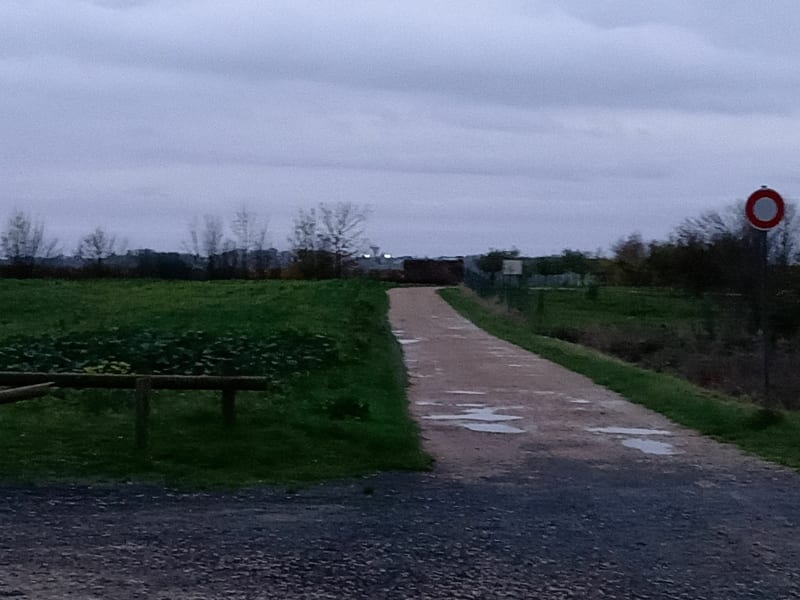 Belle balade dans le bois de l'Oratoire à Vendôme - Vendôme