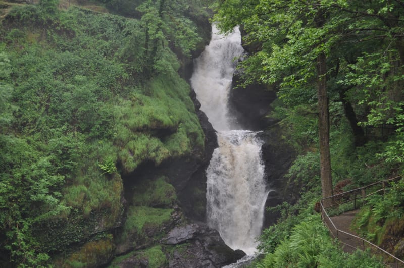Escapade forestière à la Cascade de Gimel - Gimel-les-Cascades