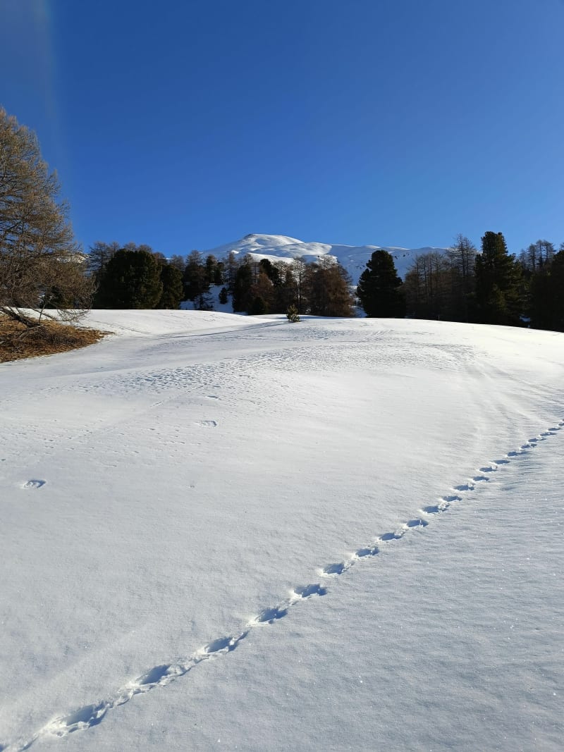Tour vers le Paneyron et le Châteleret - Vars