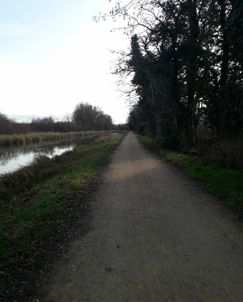 Balade digestive le long du canal de Huningue - Kembs
