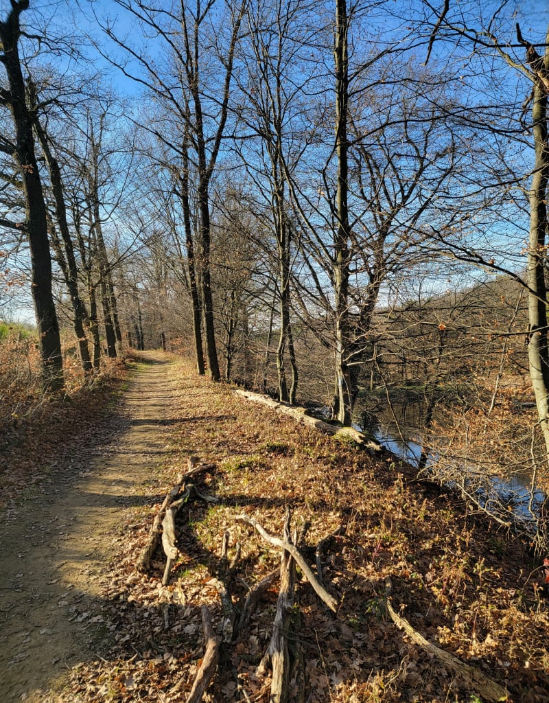 Par routes et chemins à la Roche la Molière - Roche-la-Molière