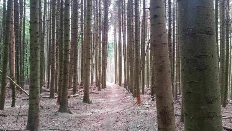 Delle - Boncourt Transfrontalière - Delle