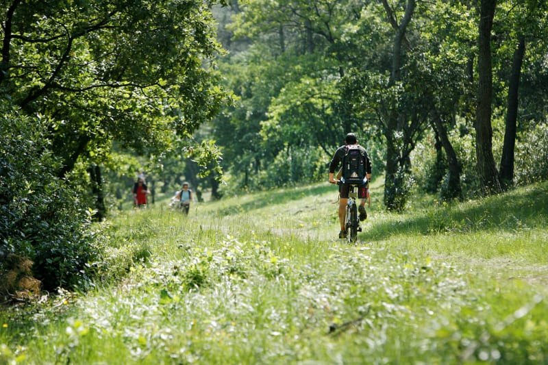 Balade alternant route forêt piste cyclable - Meudon