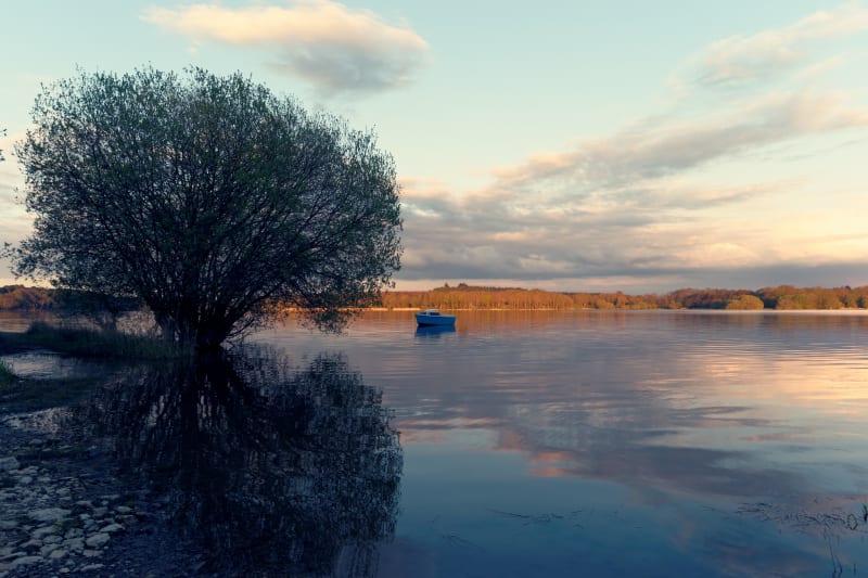 Boucle autour du Lac au Duc - Ploërmel