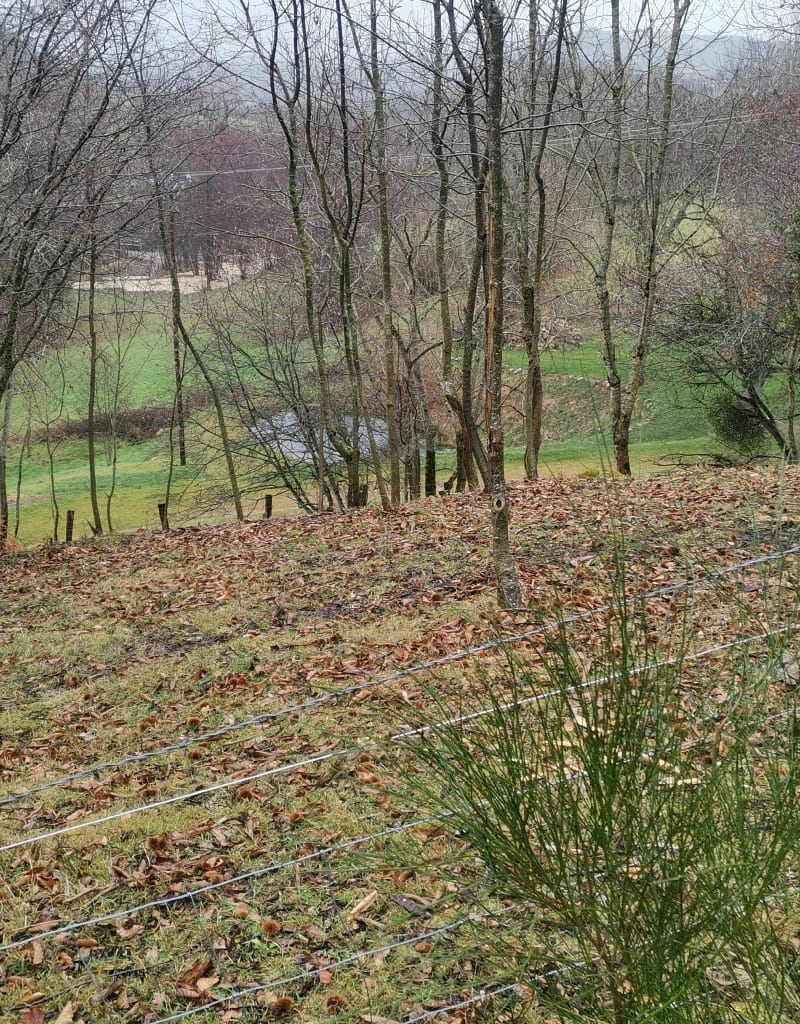 Balade entre Boron et  Luriecq - Chenereilles