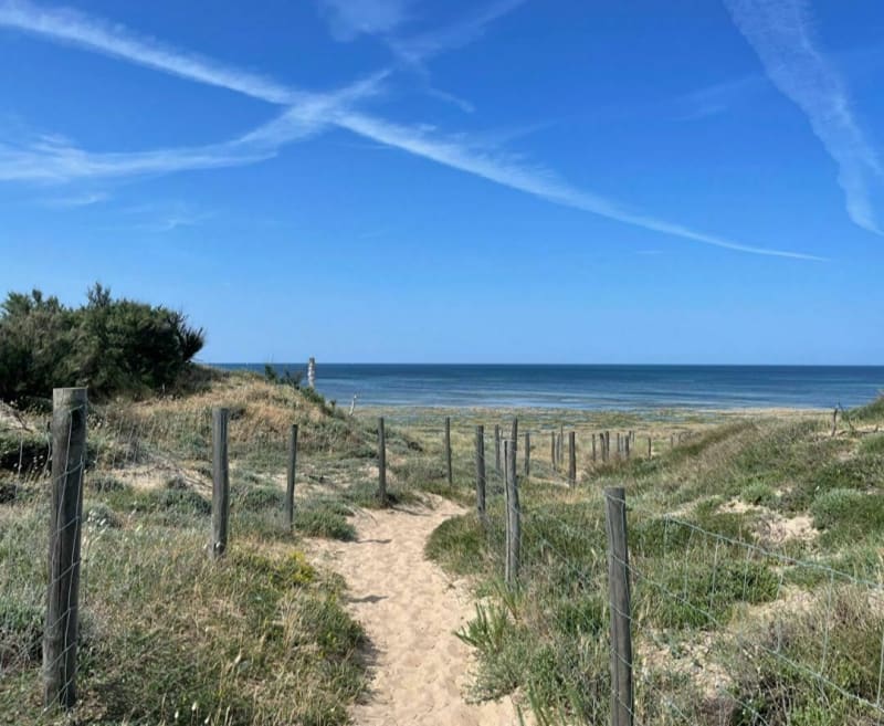 Promenade aux Allards - Dolus-d'Oléron