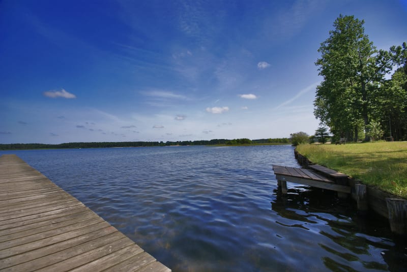 Bords du Lac de Sanguinet à vélo - Biscarrosse
