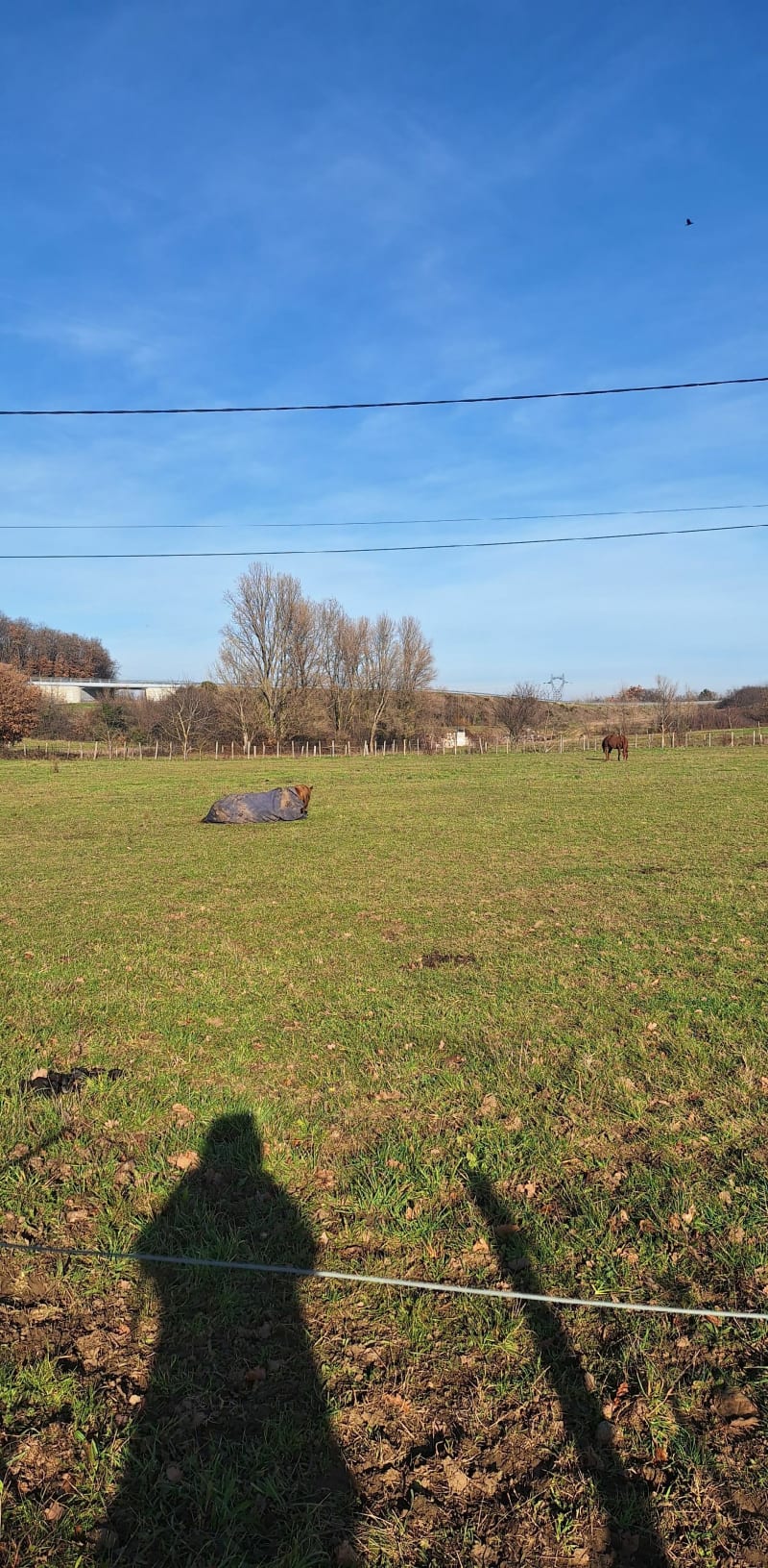De Fondblanche à Seyssuel en passant par le bois. - Communay