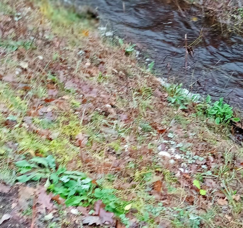 Rando du fief à Soussans - Soussans