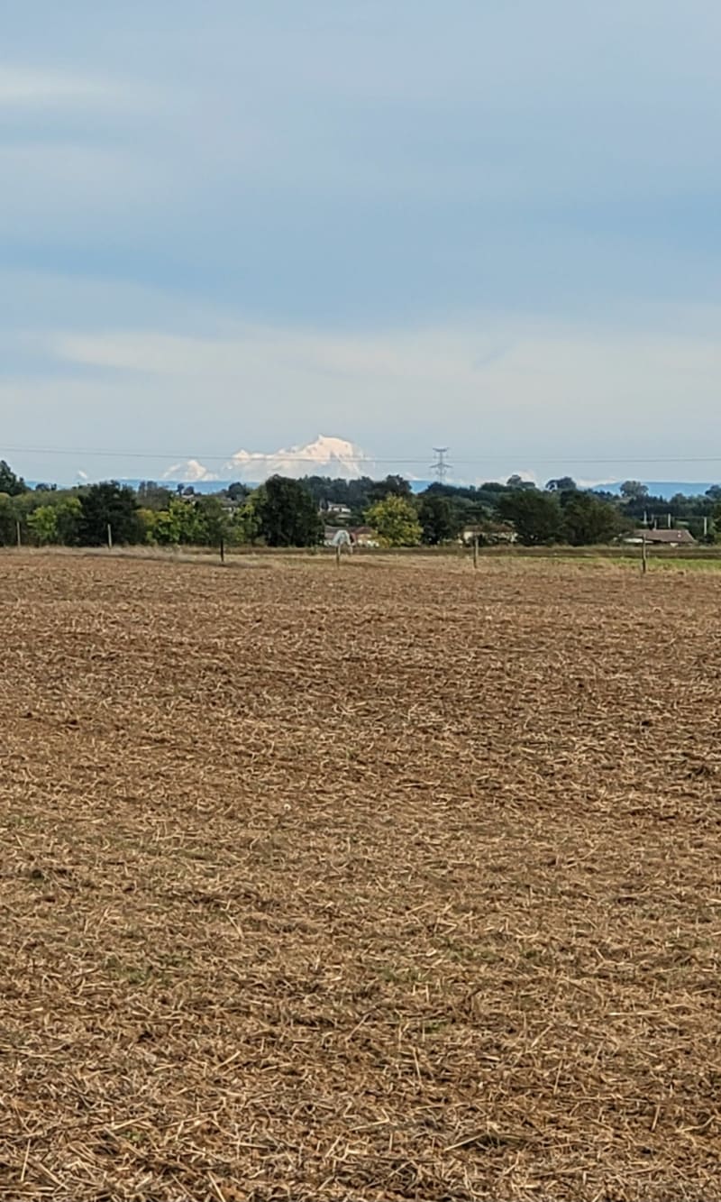 Promenade en toute tranquillité à Genouilleux, par Breille - Genouilleux