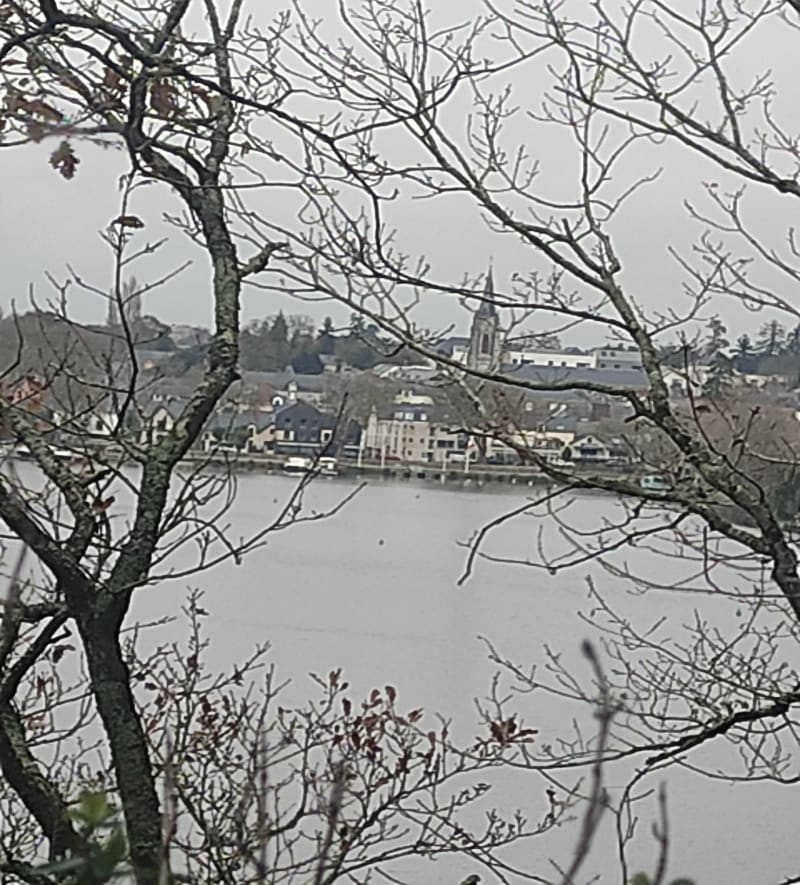 Marche au bord de l'Erdre - Sucé-sur-Erdre