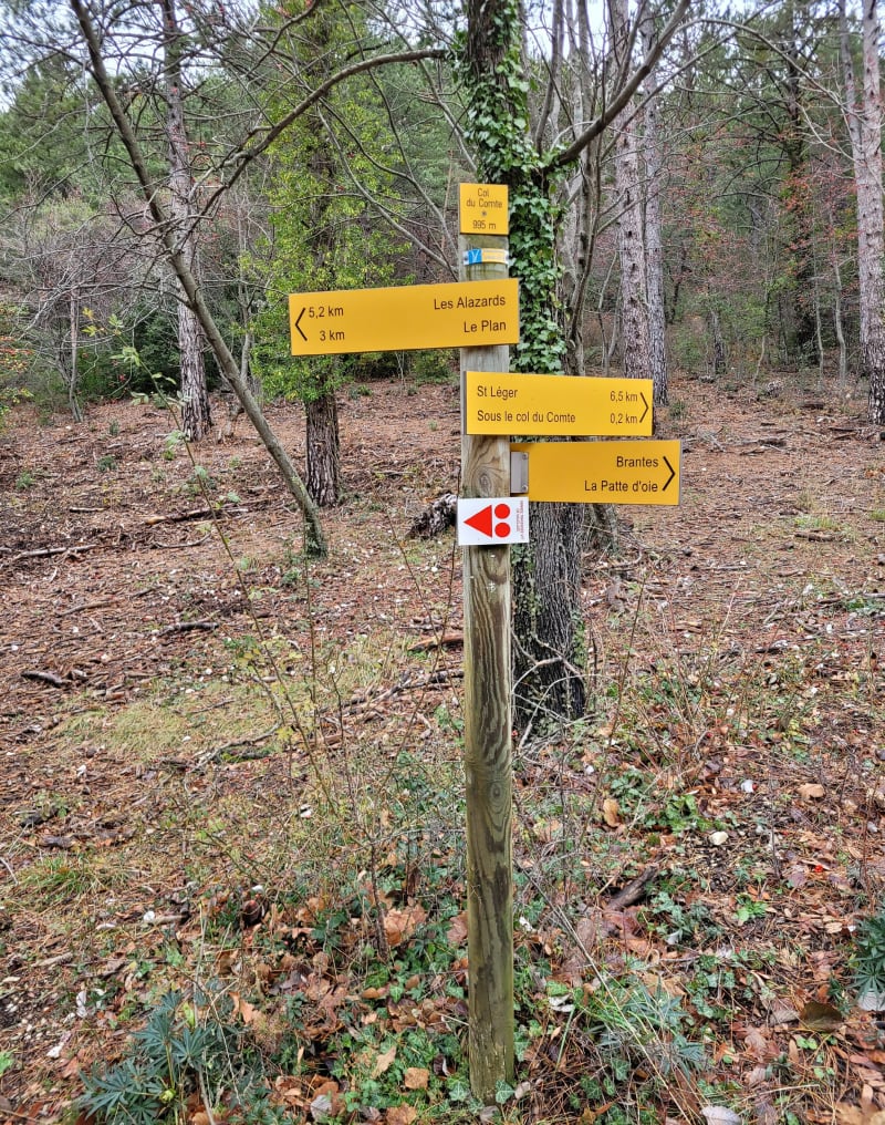 Boucle Le Plan de Vau à Mont Serein - Beaumont-du-Ventoux
