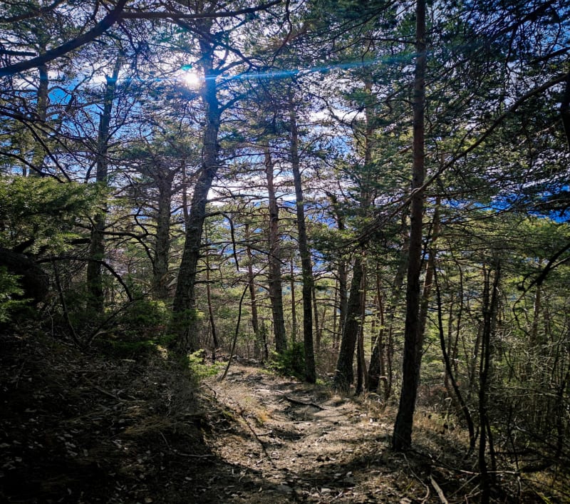 Boucle par Les Allemands et Saint-Pons - Barcelonnette