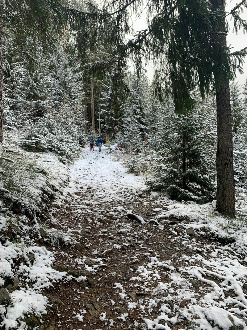 Petite boucle en VTT depuis le Mountain Store par la chapelle de Bay - Passy