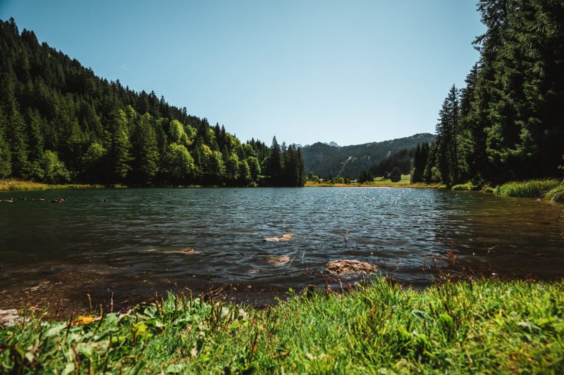 Promenade au Pas de Morgins - Châtel