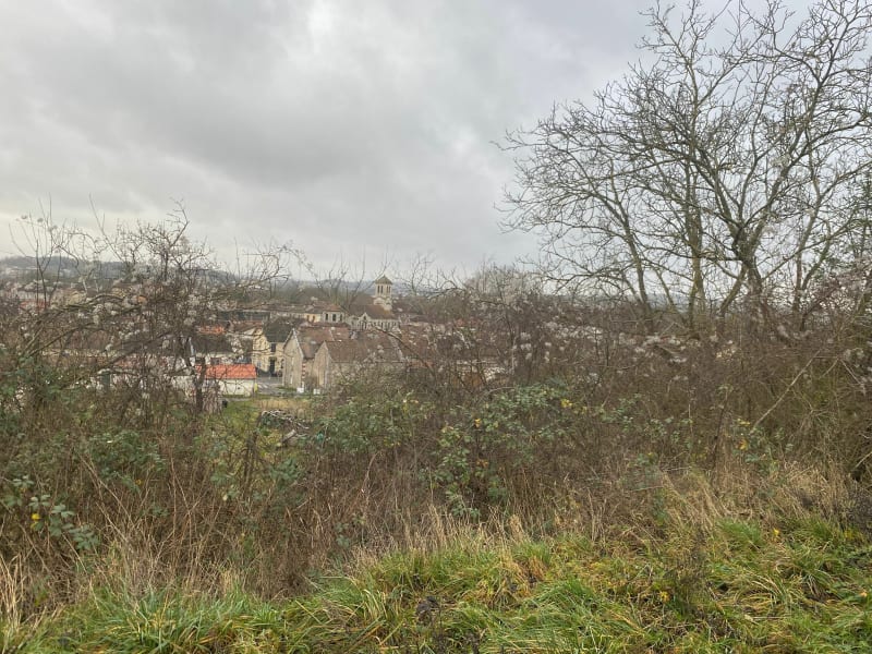 Vers le Grand Trise et l’étang du Wameau - Belleville-sur-Meuse