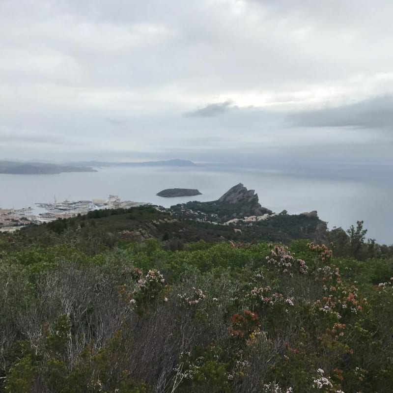 Plaines Baronnes et grand Caunet - La Ciotat