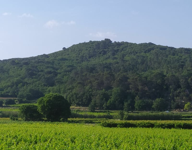De Saint-Gely à Goudargues par La Roque sur Cèze - Cornillon