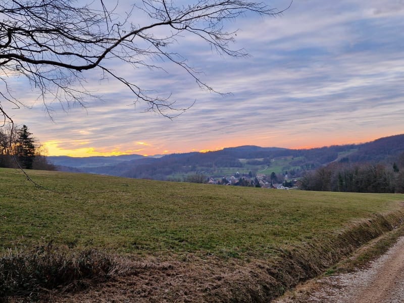 Ferrette- Bendorf -Koestlach-Vieux Ferrette - Ferrette