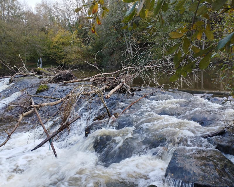Boucle de Chaillé-sous-les-Ormeaux - Rives-de-l'Yon