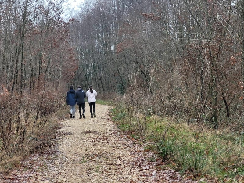 Le tour du bois de Saussottes - Velesmes-Essarts