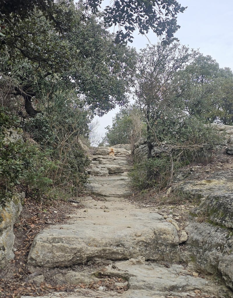 Barry à Bollène - Bollène