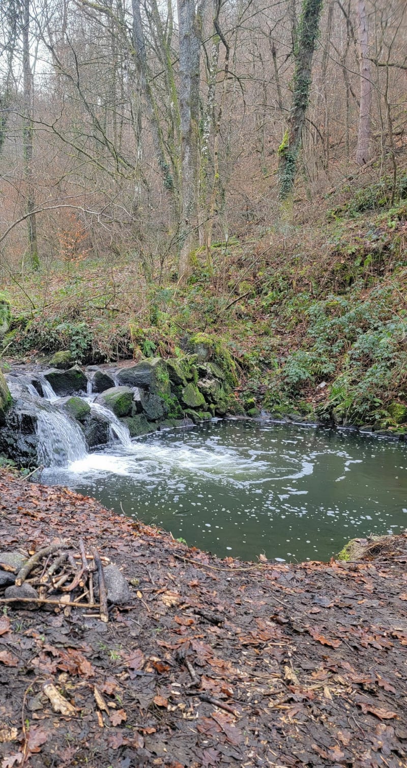 Boucle de Saint Victor sur Loire - Roche-la-Molière