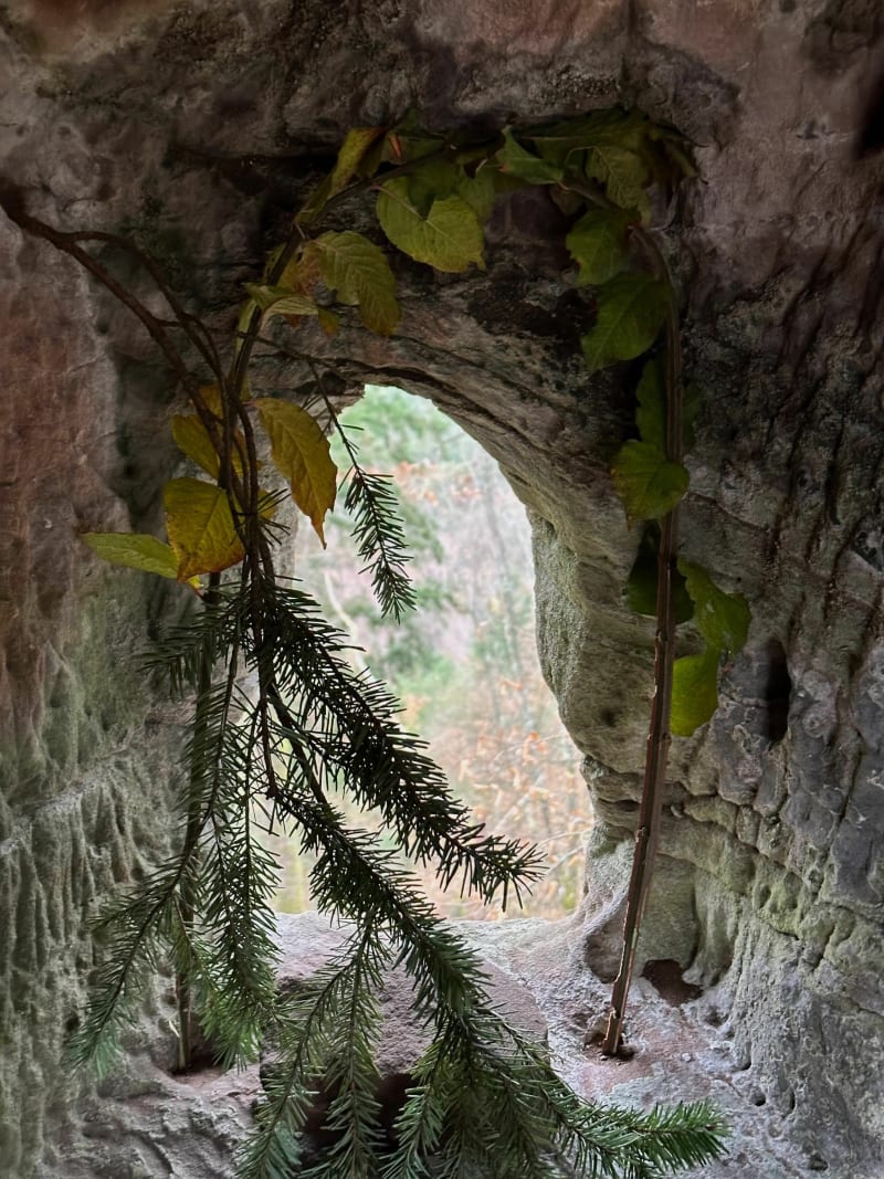 Les étangs et les châteaux — boucle depuis Éguelshardt - Éguelshardt
