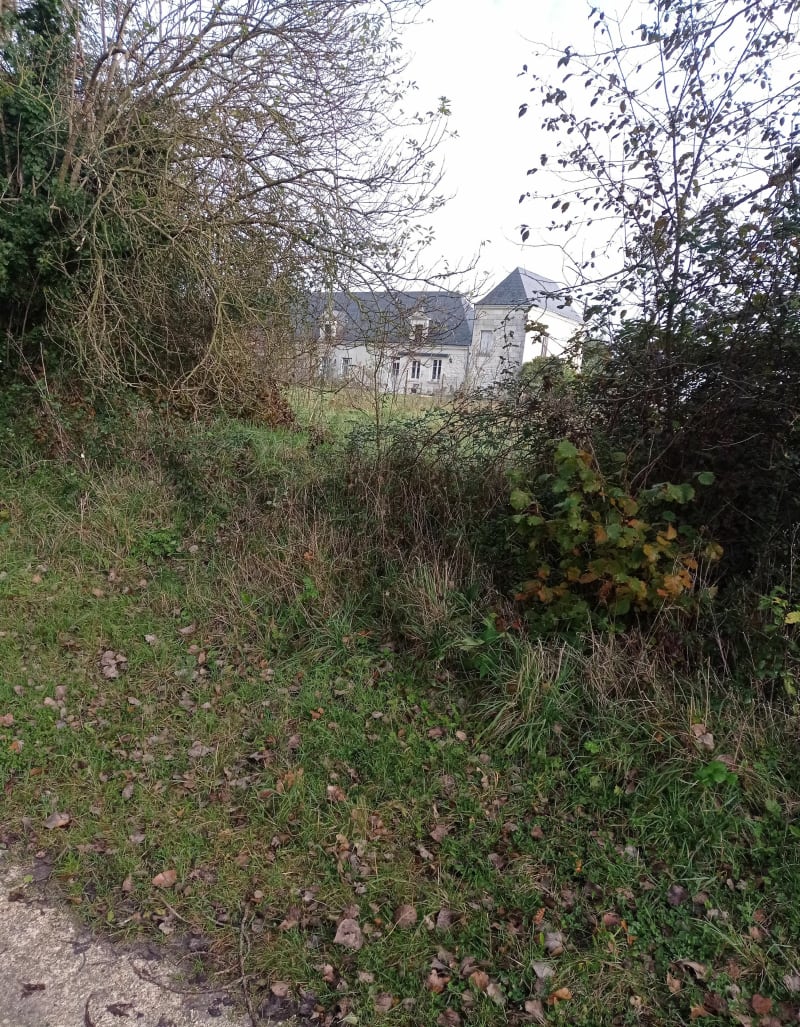 Balade en forêt de Huismes - Huismes