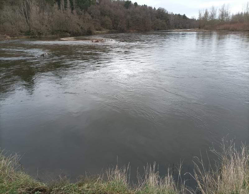 Balade en réserve Naturelle de Monetay sur Allier - Monétay-sur-Allier