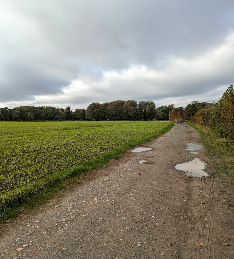 Lomme Bourg Phalempin Lomme Bourg - Lille