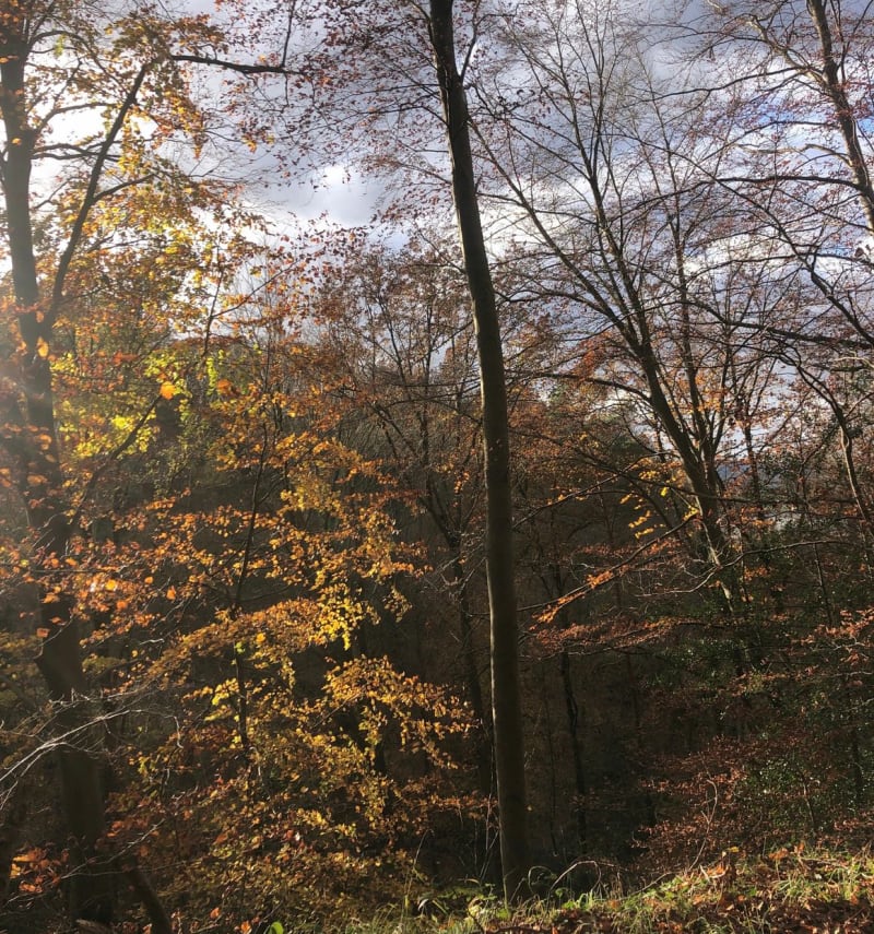Balade à Paron - Paron
