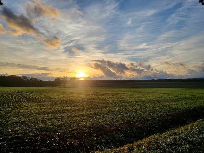 Saint-Germain-lès-Buxy - Ponneau par la forêt - Saint-Germain-lès-Buxy