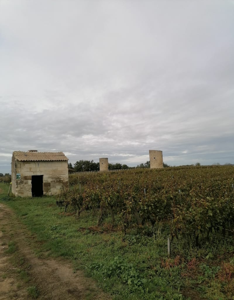 Galgon par Saint-Aignan et Vincent à VTT - Galgon
