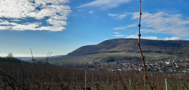 Bollenberg, Soultzmatt - Bergholtz−Zell