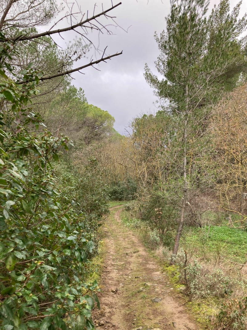Boucle à Sainte-Valiere - Sainte-Valière