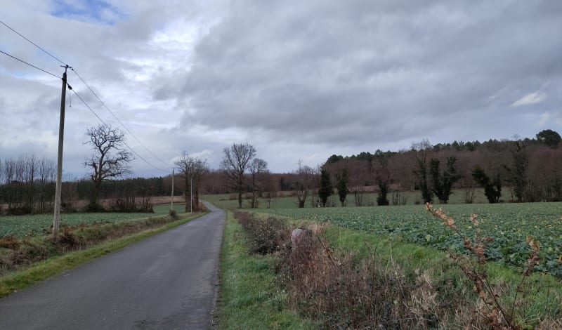 Boucle de 26 km,  de Parigné l'Evêque vers le Gd Lucé - Parigné-l'Évêque