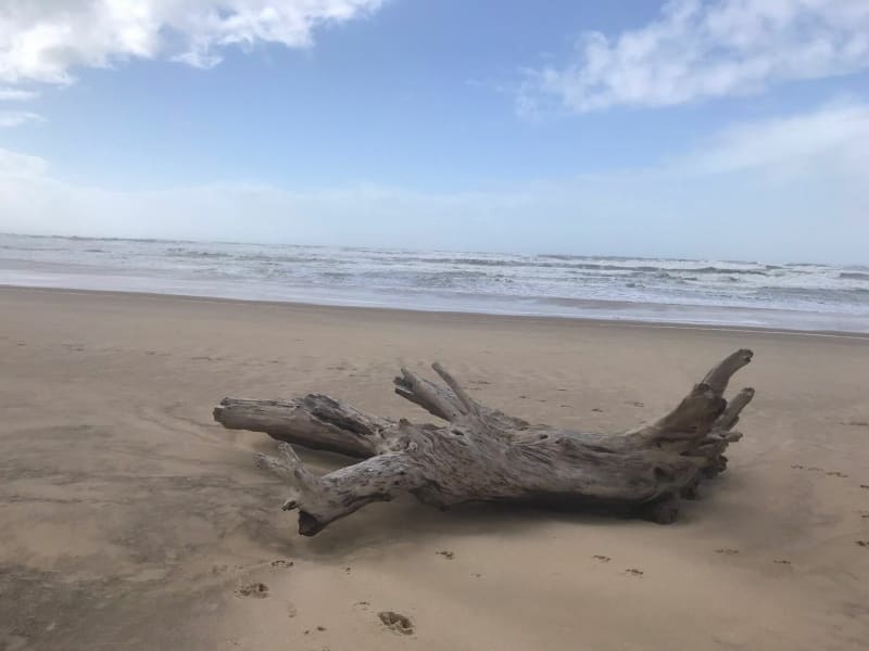 Belle balade à la plage de la Coubre - La Tremblade