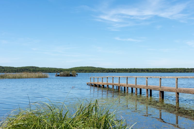 Petite boucle de Mimizan par le Lac d'Aureilhan à vélo - Mimizan