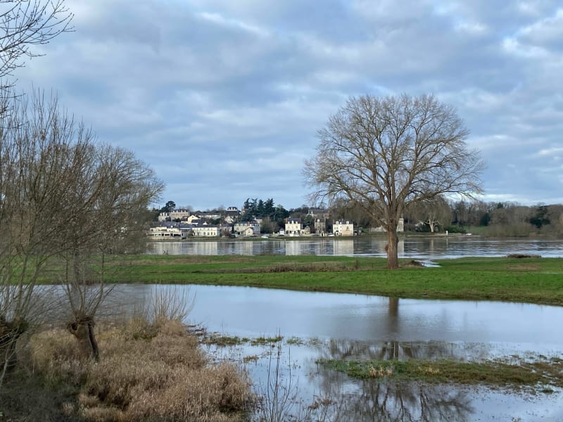 Entre loire et Boires - Mûrs-Erigné